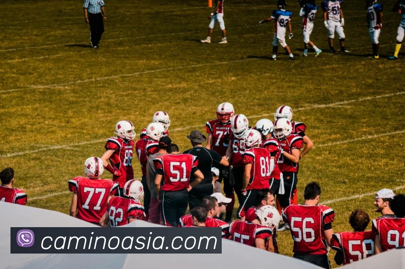 对战数据统计